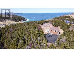 20 Old Pine Line, Logy Bay Middle Cove Outer Cove, NL A1B3K3 Photo 6