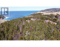 20 Old Pine Line, Logy Bay Middle Cove Outer Cove, NL A1B3K3 Photo 7