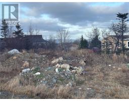 14 Wettlaufer Road, Conception Bay South, NL A1X7P6 Photo 3