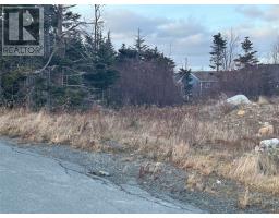 14 Wettlaufer Road, Conception Bay South, NL A1X7P6 Photo 4