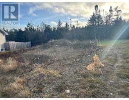 17 Wettlaufer Road, Conception Bay South, NL A1X7P6 Photo 3