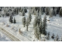 300 Ridge Road, Rossland, BC V0G1Y0 Photo 3