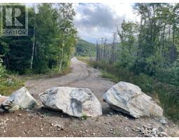 460 Route Whites Road, Gull Pond, NL A2N2Y4 Photo 2