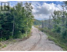 460 Route Whites Road, Gull Pond, NL A2N2Y4 Photo 3