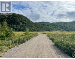 460 Route Whites Road, Gull Pond, NL A2N2Y4 Photo 4