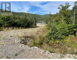 460 Route Whites Road, Gull Pond, NL A2N2Y4 Photo 6