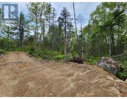 Lot 14 Virginia Road, West Springhill, NS B0S1A0 Photo 7