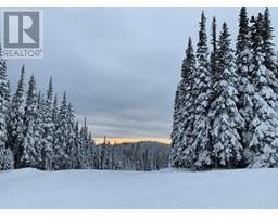 3015 Purden Ski Hill Road, Prince George, BC V0J3M0 Photo 7
