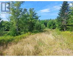 Lot 5 West Bay Hwy, French Cove, NS B0E3B0 Photo 3