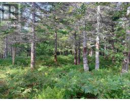 Lot 5 West Bay Hwy, French Cove, NS B0E3B0 Photo 5