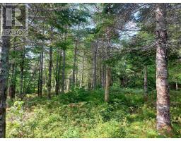 Lot 5 West Bay Hwy, French Cove, NS B0E3B0 Photo 7