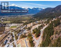 8203 Merlot Peak Drive, Pemberton, BC V0N2L2 Photo 2