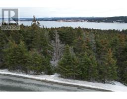 17 17 A Bacon Cove Road, Kitchuses, NL A0A2Z0 Photo 6