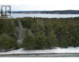 17 17 A Bacon Cove Road, Kitchuses, NL A0A2Z0 Photo 7
