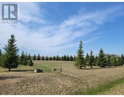 Lot 4 Tower Road, Athabasca, AB T9S0B8 Photo 4