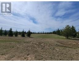 Lot 4 Tower Road, Athabasca, AB T9S0B8 Photo 5