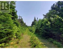 Lot 23 Ij Diana Mountain Rd, The Points West Bay, NS B0E3K0 Photo 2