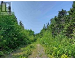 Lot 23 Ij Diana Mountain Rd, The Points West Bay, NS B0E3K0 Photo 4
