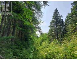 Lot 23 Ij Diana Mountain Rd, The Points West Bay, NS B0E3K0 Photo 6