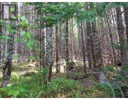 Lot 23 Ij Diana Mountain Rd, The Points West Bay, NS B0E3K0 Photo 7