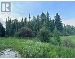 402045 Range Road 6 2, Rural Clearwater County, AB T4T1A3 Photo 5