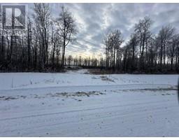 9 Westview Country Estates L 9, Rural Northern Lights County Of, AB T8S1S7 Photo 3