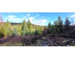 Lot 1213 S Ingram Creek Forest Service Rd, Rock Creek, BC V0H1Y0 Photo 2