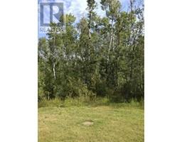 8 Antler Close, Rural Athabasca County, AB T9S2A6 Photo 3