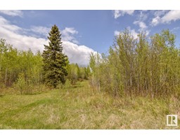 Rge Rd 51 And Twp Rd 555, Rural Lac Ste Anne County, AB T0E0J0 Photo 7