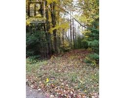 20 Pine Forest Drive, Hepworth, ON N0H1P0 Photo 3