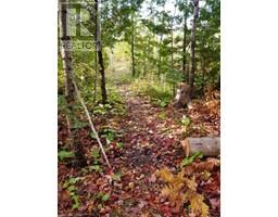 20 Pine Forest Drive, Hepworth, ON N0H1P0 Photo 4