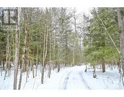 2164 Old Birch Road, Fitzroy Harbour, ON K0A1X0 Photo 2