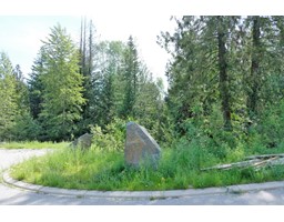 212 Rock Cut Road, Rossland, BC V0G1Y0 Photo 6