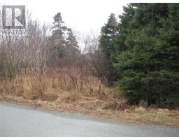 7 Kennedys Road, Conception Bay South, NL A1X4C1 Photo 7