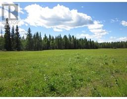 52 Boundary Close, Rural Clearwater County, AB T0M0M0 Photo 6