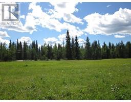53 Boundary Close, Rural Clearwater County, AB T0M0M0 Photo 5