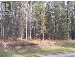 Ne 23 Tower Road, Rural Woodlands County, AB T7S1P6 Photo 5