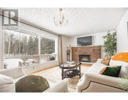Living room/Fireplace - 701 Smaglinski Stoppa Parkway, Wilno, ON K0J2N0 Photo 3