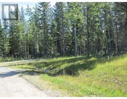 1 Boundary, Rural Clearwater County, AB T0M0M0 Photo 4