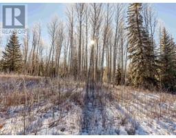 Lot A Yelich Road, Smithers, BC V0J2N2 Photo 4