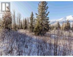 Lot A Yelich Road, Smithers, BC V0J2N2 Photo 6