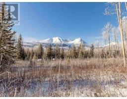 Lot A Yelich Road, Smithers, BC V0J2N2 Photo 2
