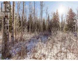 Lot A Yelich Road, Smithers, BC V0J2N2 Photo 5