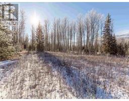Lot A Yelich Road, Smithers, BC V0J2N2 Photo 7