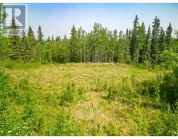 Lot 16 Estates Of East Mountain, Rural Woodlands County, AB T7S1N9 Photo 3