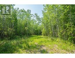 Lot 16 Estates Of East Mountain, Rural Woodlands County, AB T7S1N9 Photo 4