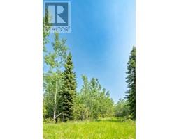 Lot 16 Estates Of East Mountain, Rural Woodlands County, AB T7S1N9 Photo 6