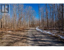 15765 Highway 12, Tay, ON L0K1E0 Photo 6