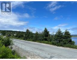 0 West Side Road, Greens Harbour, NL A0B0B8 Photo 4