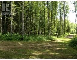 40 165052 Twp Rd 714 Township, Wandering River, AB T0A3M0 Photo 4